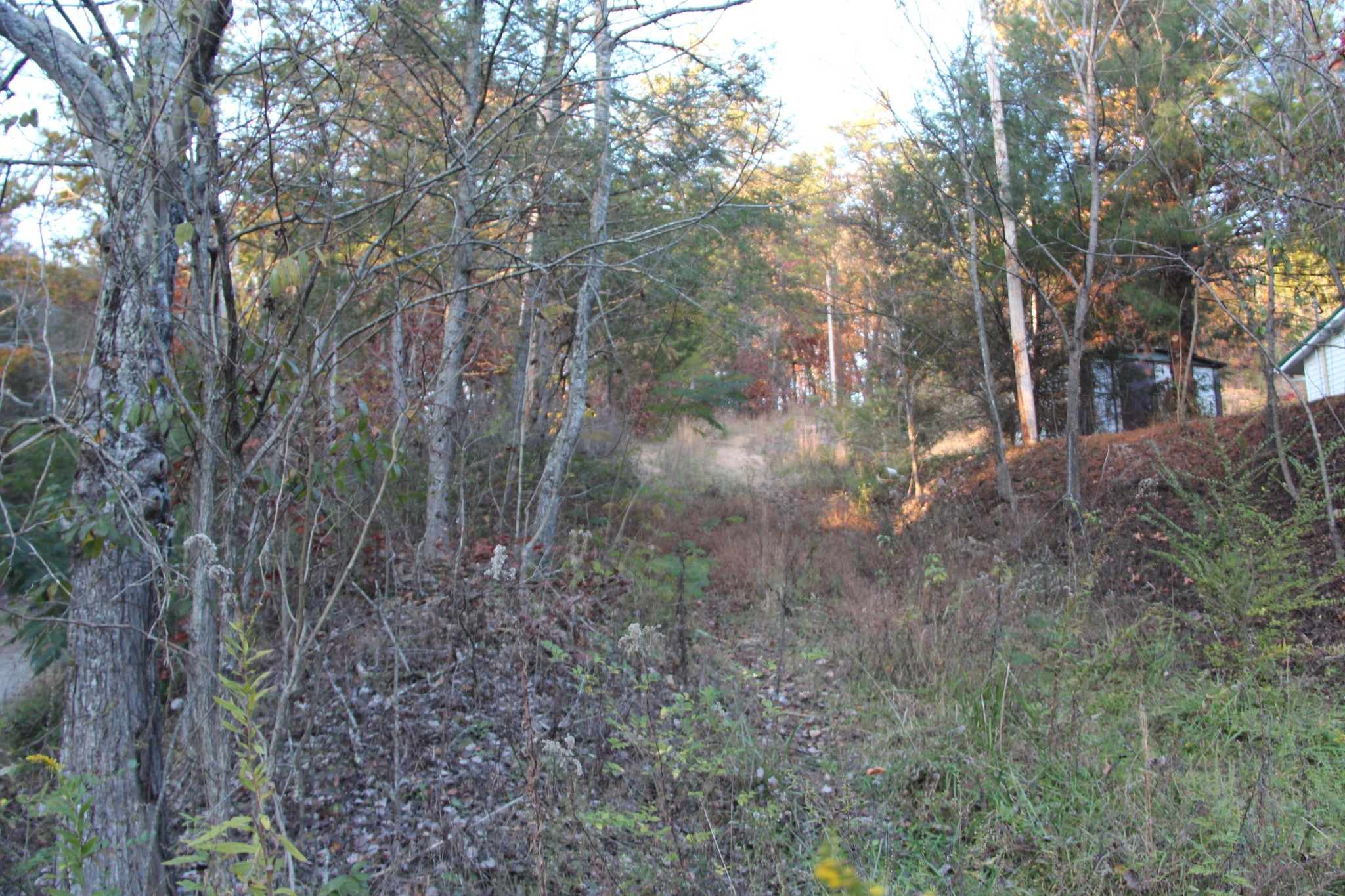 0 Lot 1 Cedar Road Pigeon Forge, TN 37863 - Photo 2 of 4 Gallery Image 2