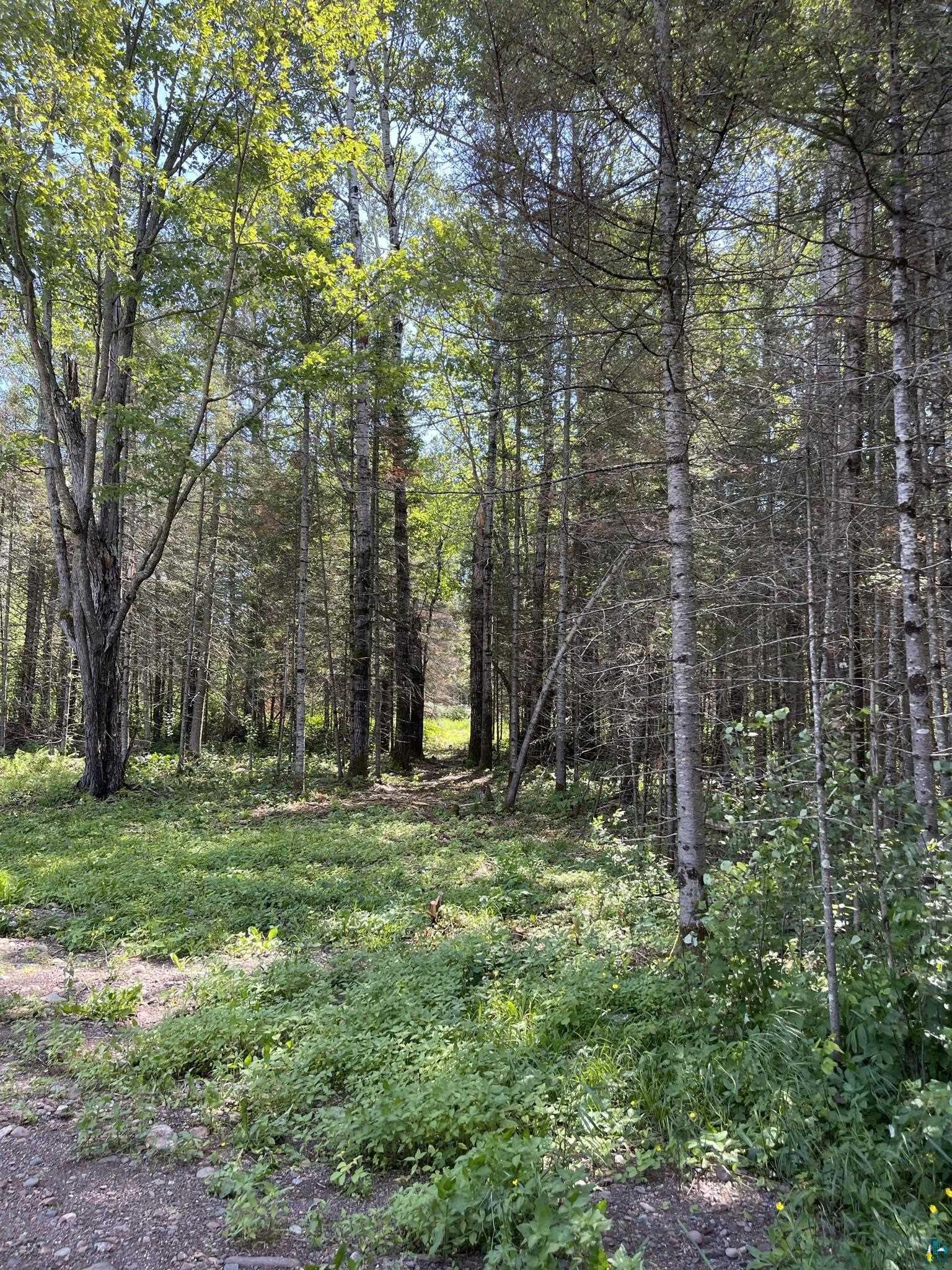 2379 Holm Road Two Harbors, MN 55616 - Photo 19 of 50