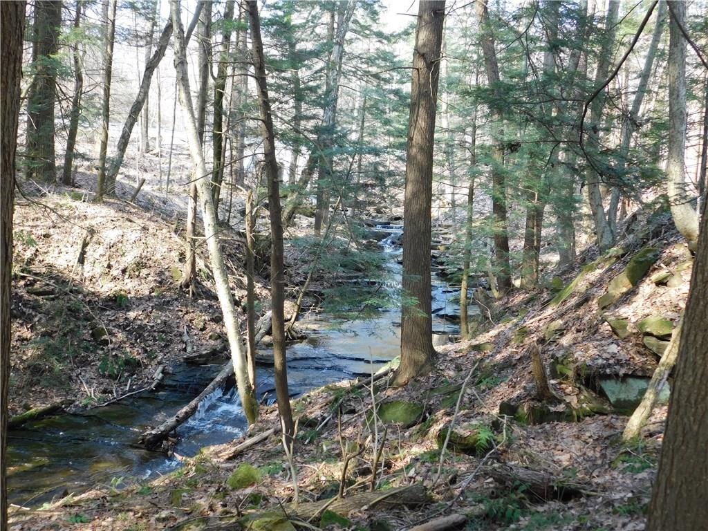 223 Tower Road Jamestown, PA 16134 - Photo 4 of 25 WATERFALL