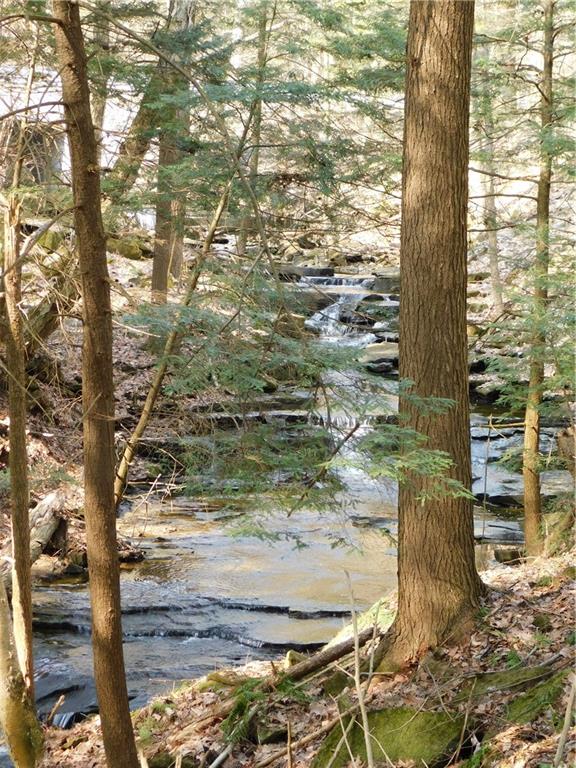 223 Tower Road Jamestown, PA 16134 - Photo 5 of 25 WATER FALL