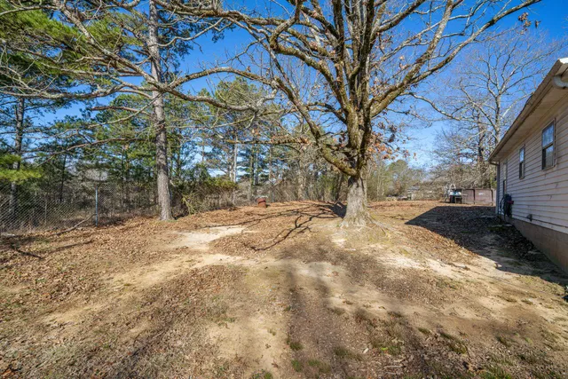 a view of yard with tree