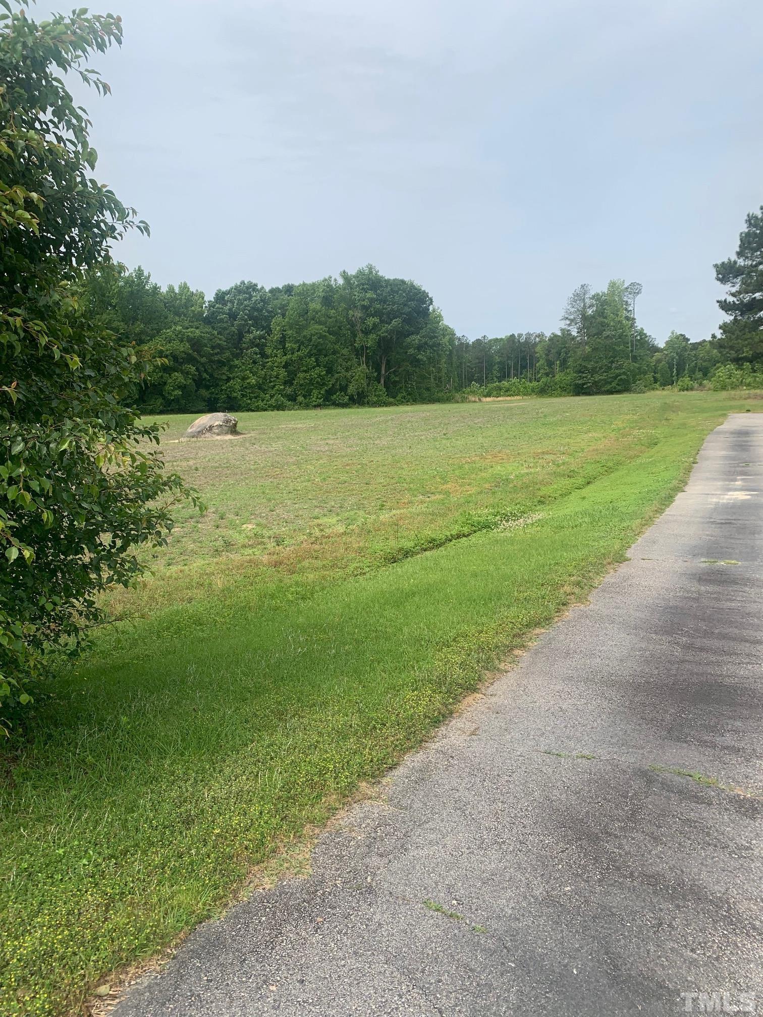 3125 Lizard Lick Road Wendell, NC 27591 - Photo 3 of 4 a view of a lake with a big yard