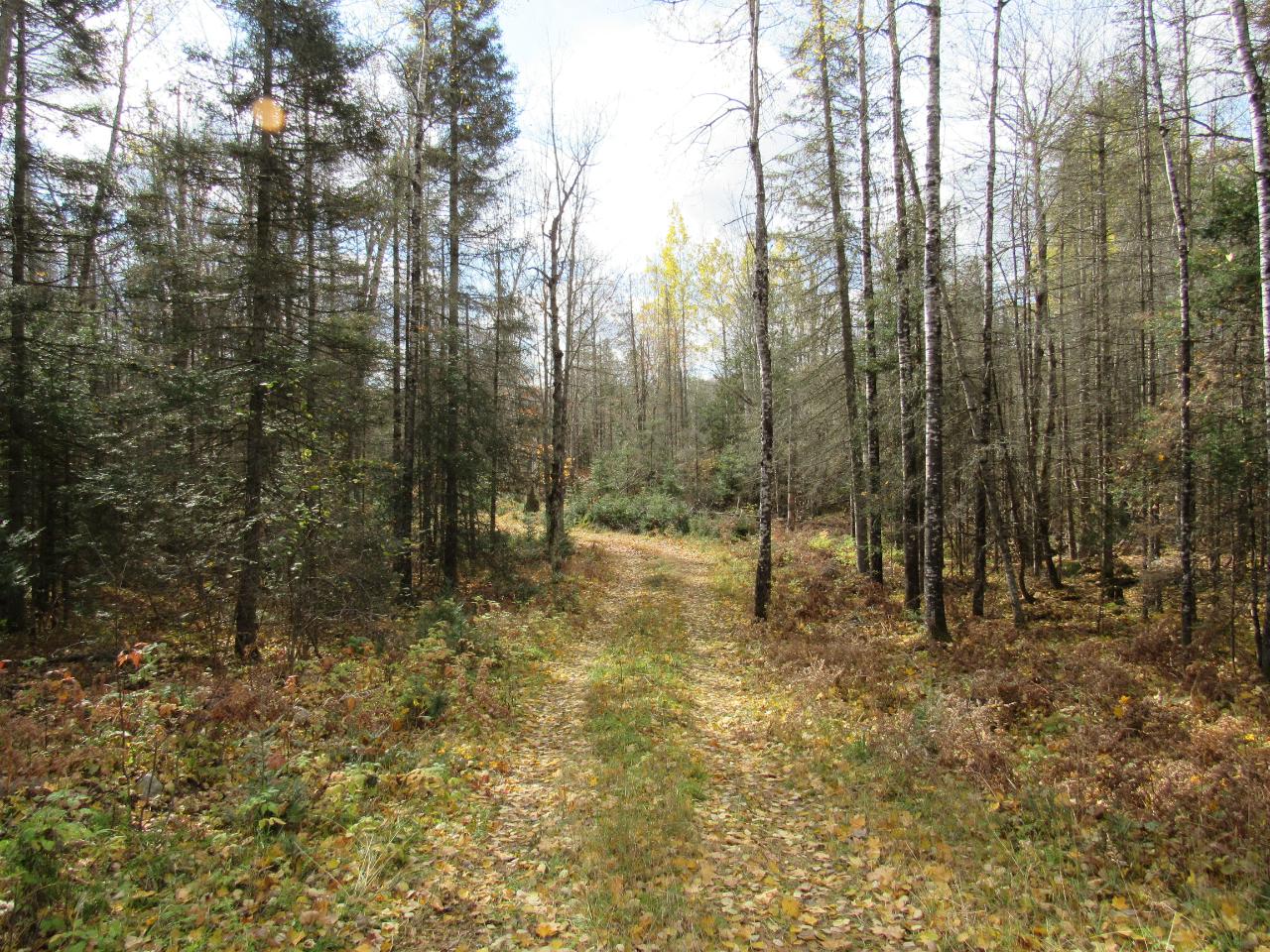 On Sheltrow Road, Unit LOT 5 Crystal Falls, MI 49920 - Photo 11 of 11 Gallery Image 11