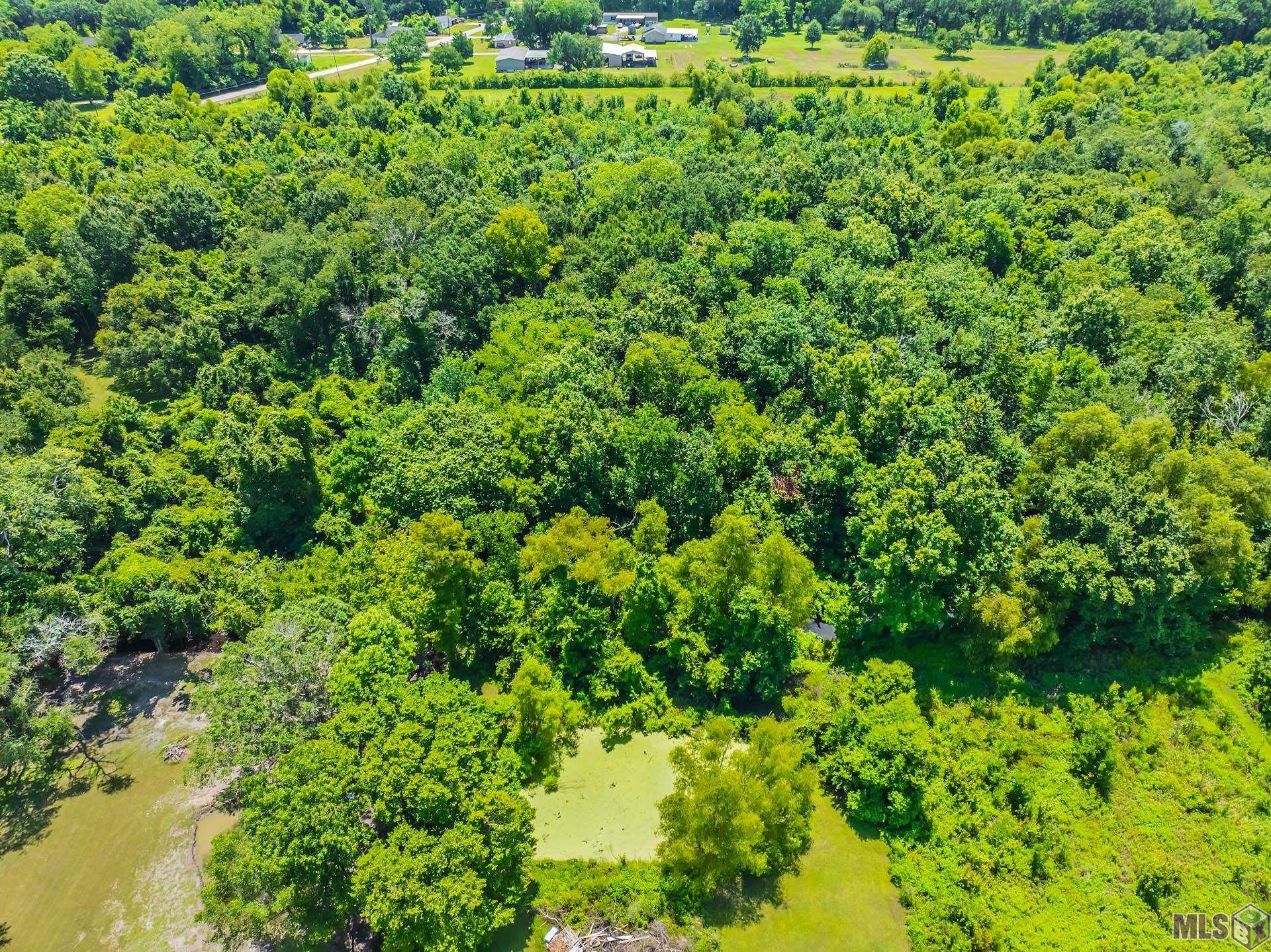 814 Manchester Manor Road Thibodaux, LA 70301 - Photo 5 of 17