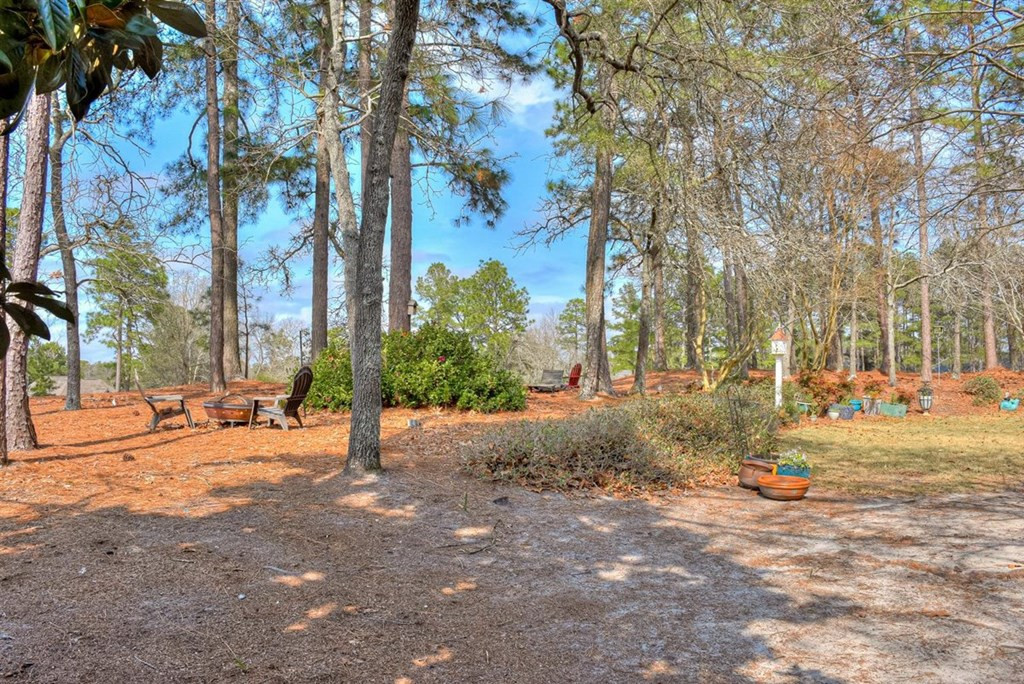 121 Pine Needle Road Aiken, SC 29803 - Photo 57 of 66
