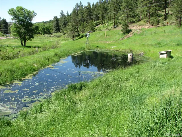 a view of a park with large trees
