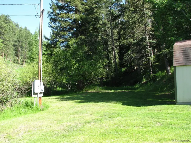 a view of a backyard with plants