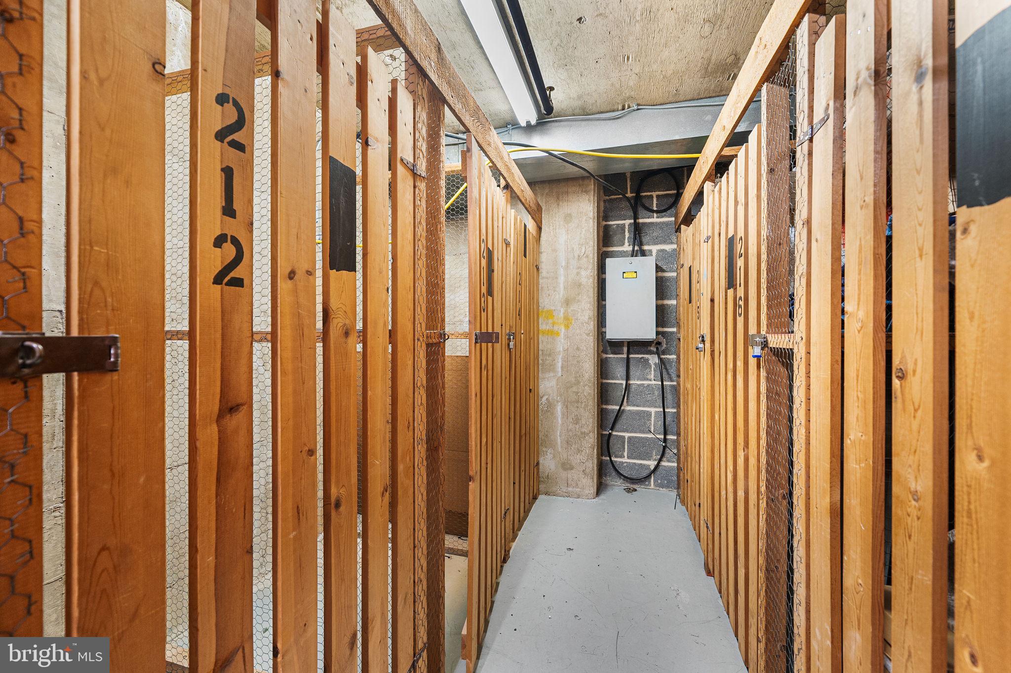 1101 South Arlington Ridge Road, Unit 212 Arlington, VA 22202 - Photo 60 of 93 Dedicated storage unit