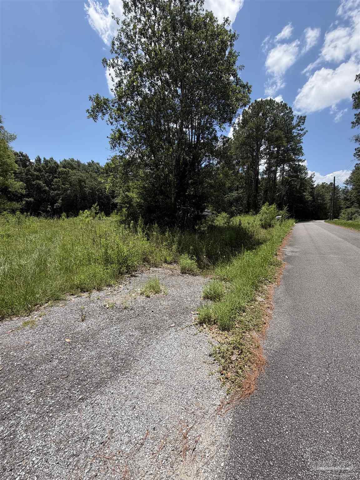0 Patterson Road Milton, FL 32570 - Photo 3 of 8