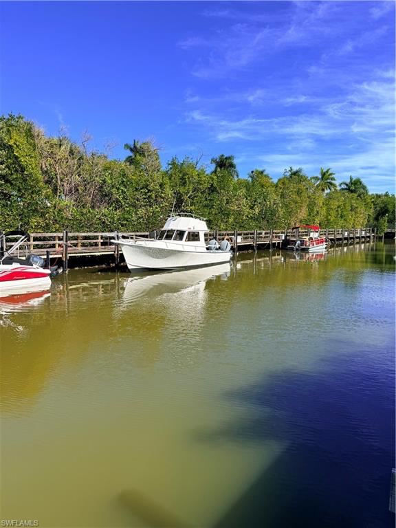 1575 Curlew Avenue, Unit 1 Naples, FL 34102 - Photo 3 of 35 Dock area with a water view of boats, pelicans, and fish
