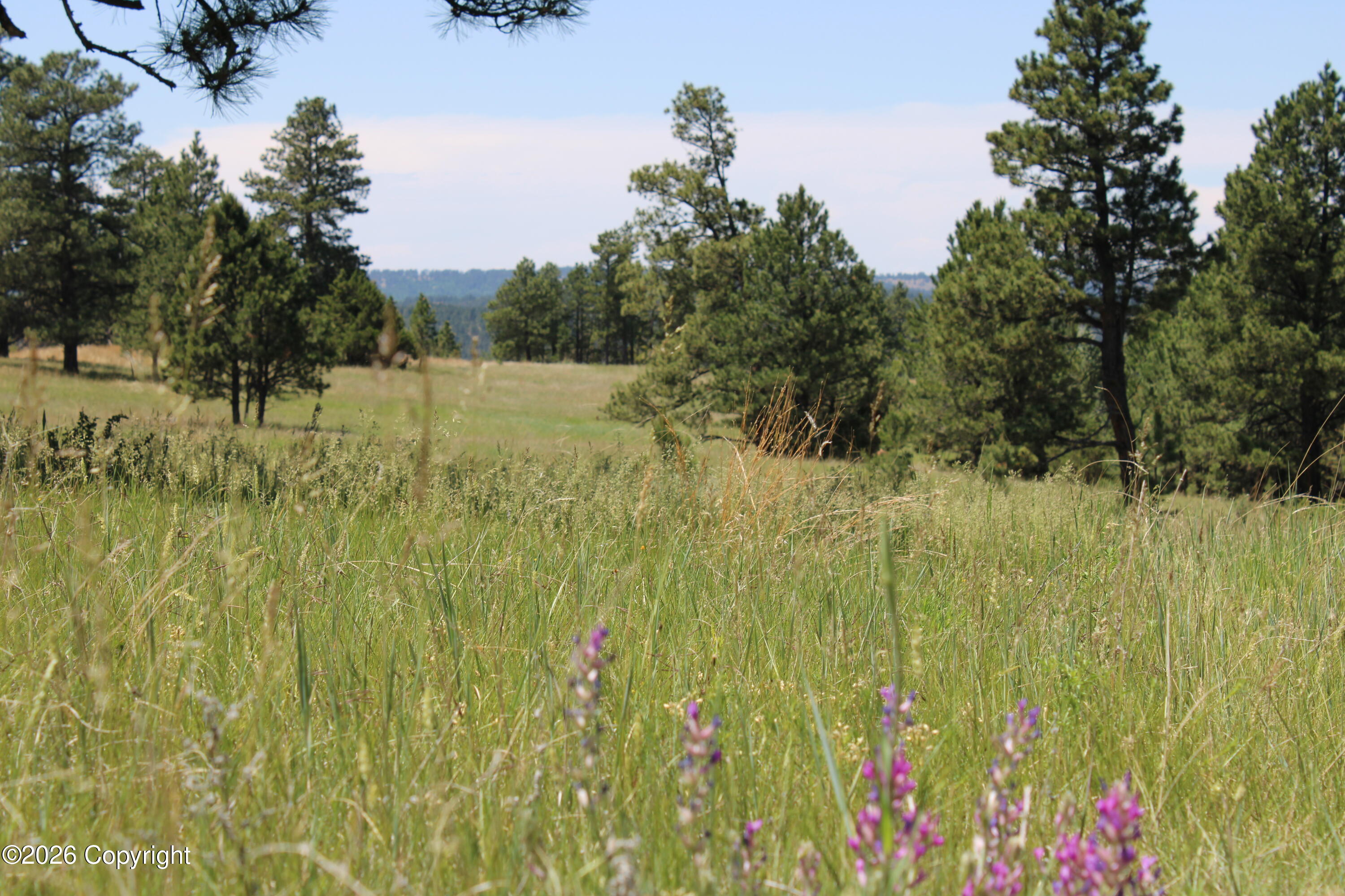 10 River Road Hulett, WY 82720 - Photo 15 of 31 Gallery Image 15