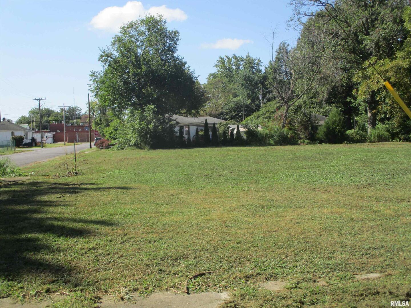 0 North Buchanan Street Benton, IL 62812 - Photo 5 of 23