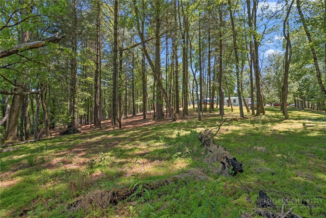 154 Folger Road Sparta, NC 28675 - Photo 31 of 37 a view of outdoor space with trees all around