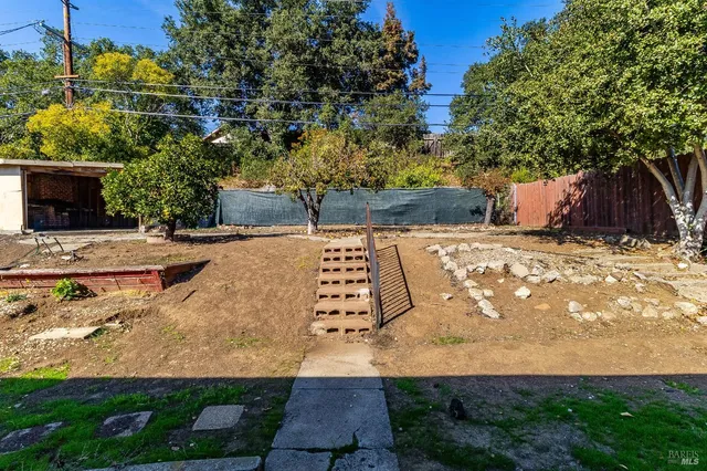 a view of a yard with an tree
