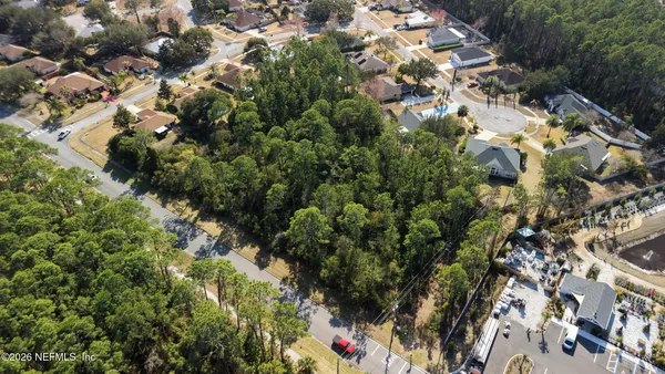 a view of a garden with plants