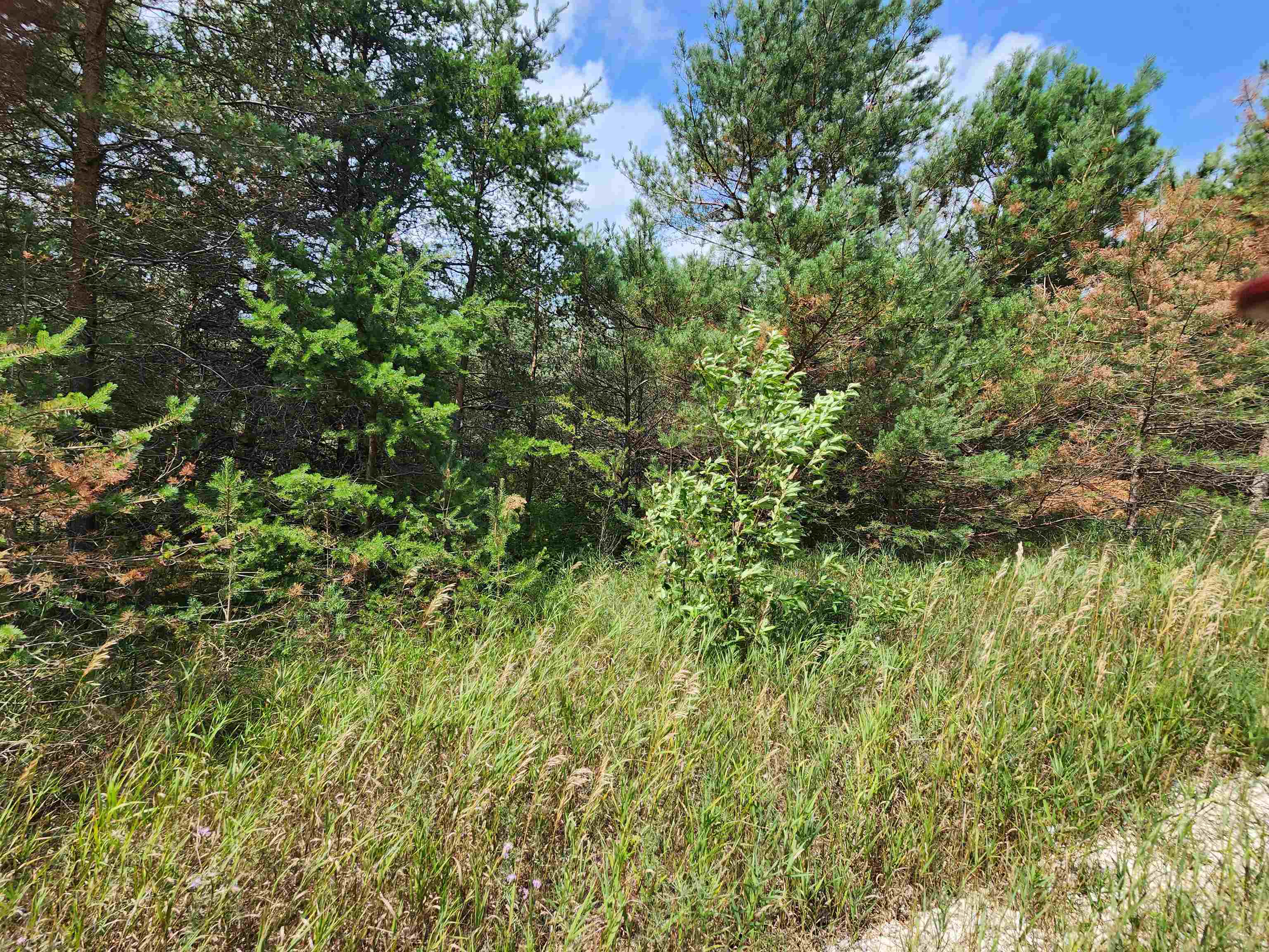 Parcel A East 18 1/2 Road Manton, MI 49663 - Photo 41 of 42 Gallery Image 41