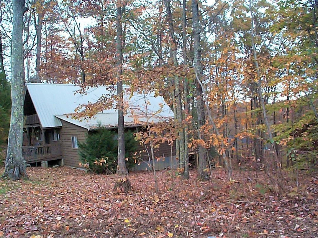 357 Turkey Ridge Road Wellington, KY 40387 - Photo 9 of 59 Photo 9