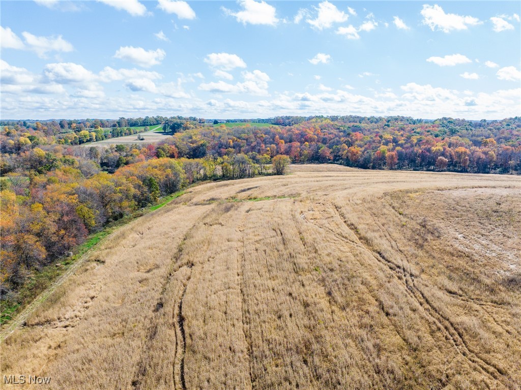 Emerick Road Kensington, OH 44427 - Photo 27 of 50 Aerial view of sparsely populated area with a forest