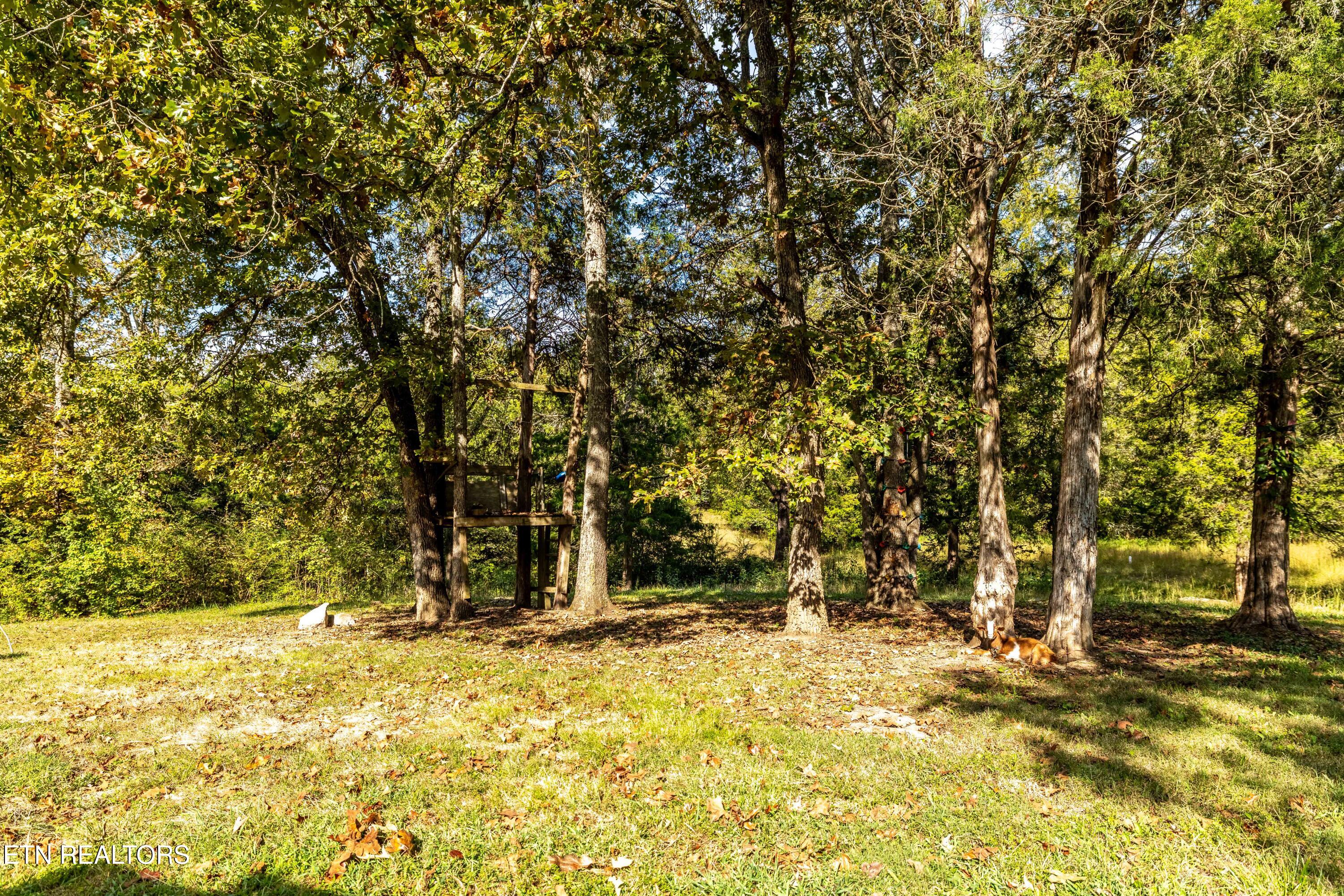 1735 McCarty Road Knoxville, TN 37914 - Photo 23 of 34 1735McCartyRd-40