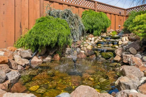 a view of a backyard