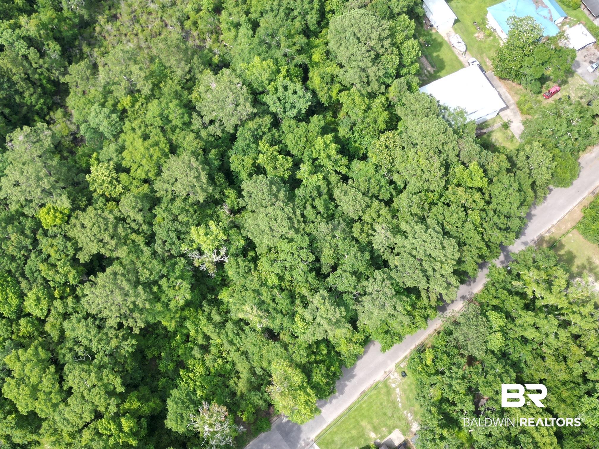 0 Canal Road Mobile, AL 36605 - Photo 4 of 5