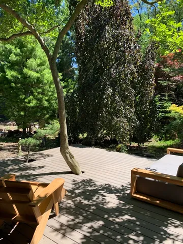 a view of a street with a tree