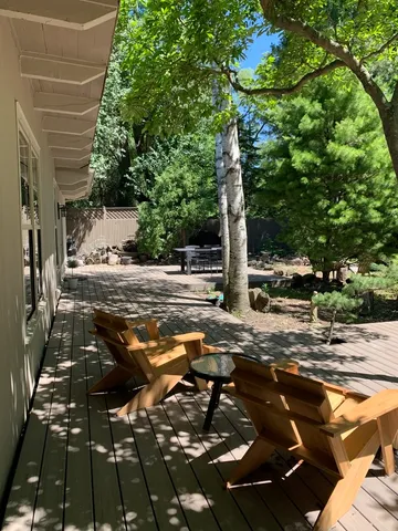 a view of a yard with plants