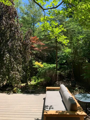 a view of a yard with plants and large trees