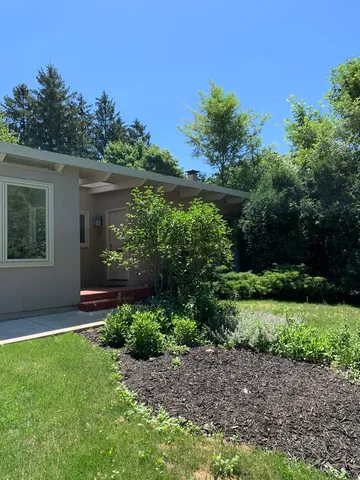 a view of a backyard with plants and a garden