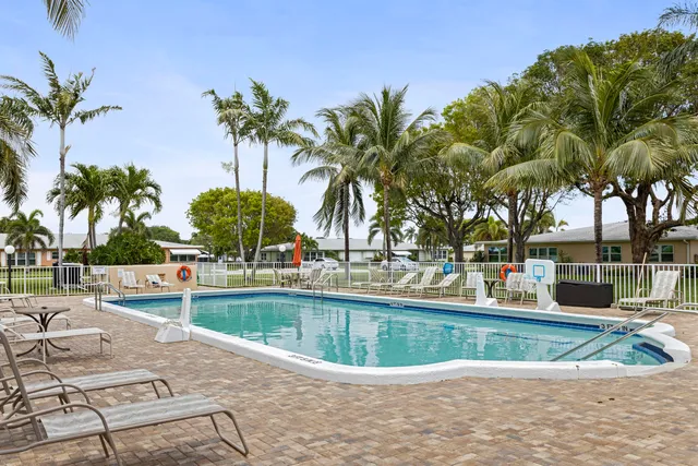 a view of a swimming pool with a lawn chairs under palm trees