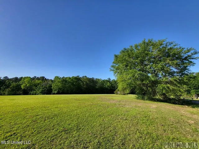 $79,500 | Anastasia Drive, Carriere, MS 39426