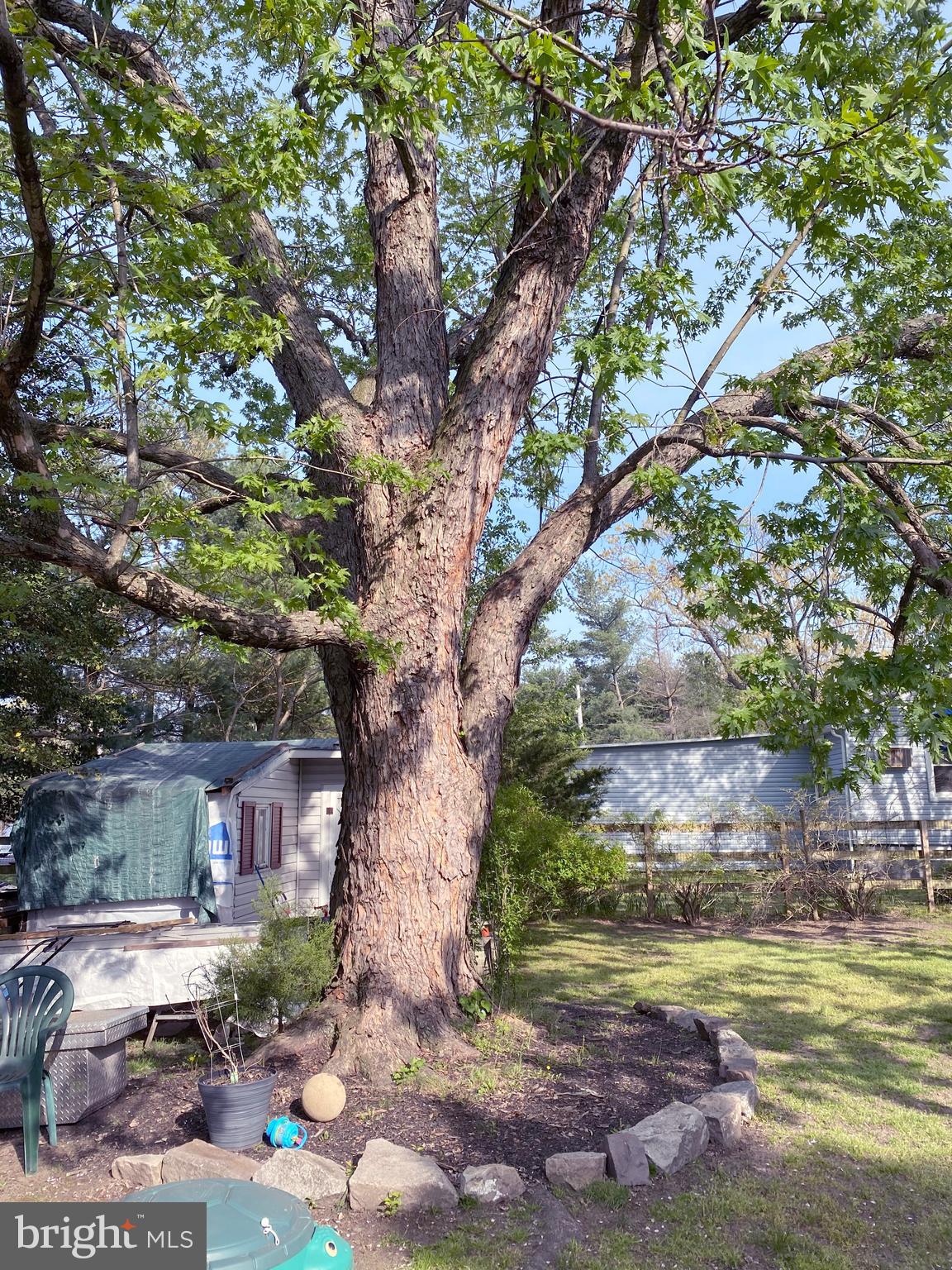 65 Ridge Avenue Lumberton, NJ 08048 - Photo 18 of 42 A Natural Setting!