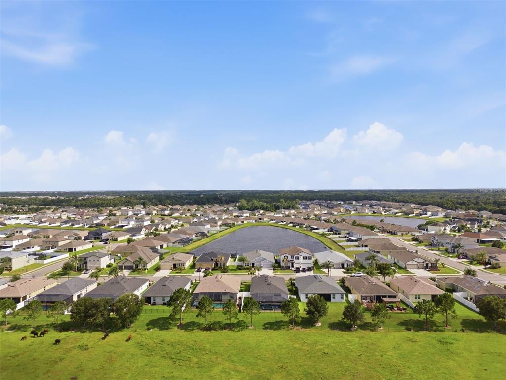 15020 Trinity Fall Way Bradenton, FL 34212 - Photo 60 of 66