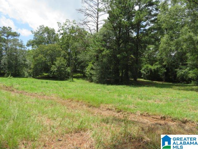 20025 Booler Road Vance, AL 35490 - Photo 33 of 48