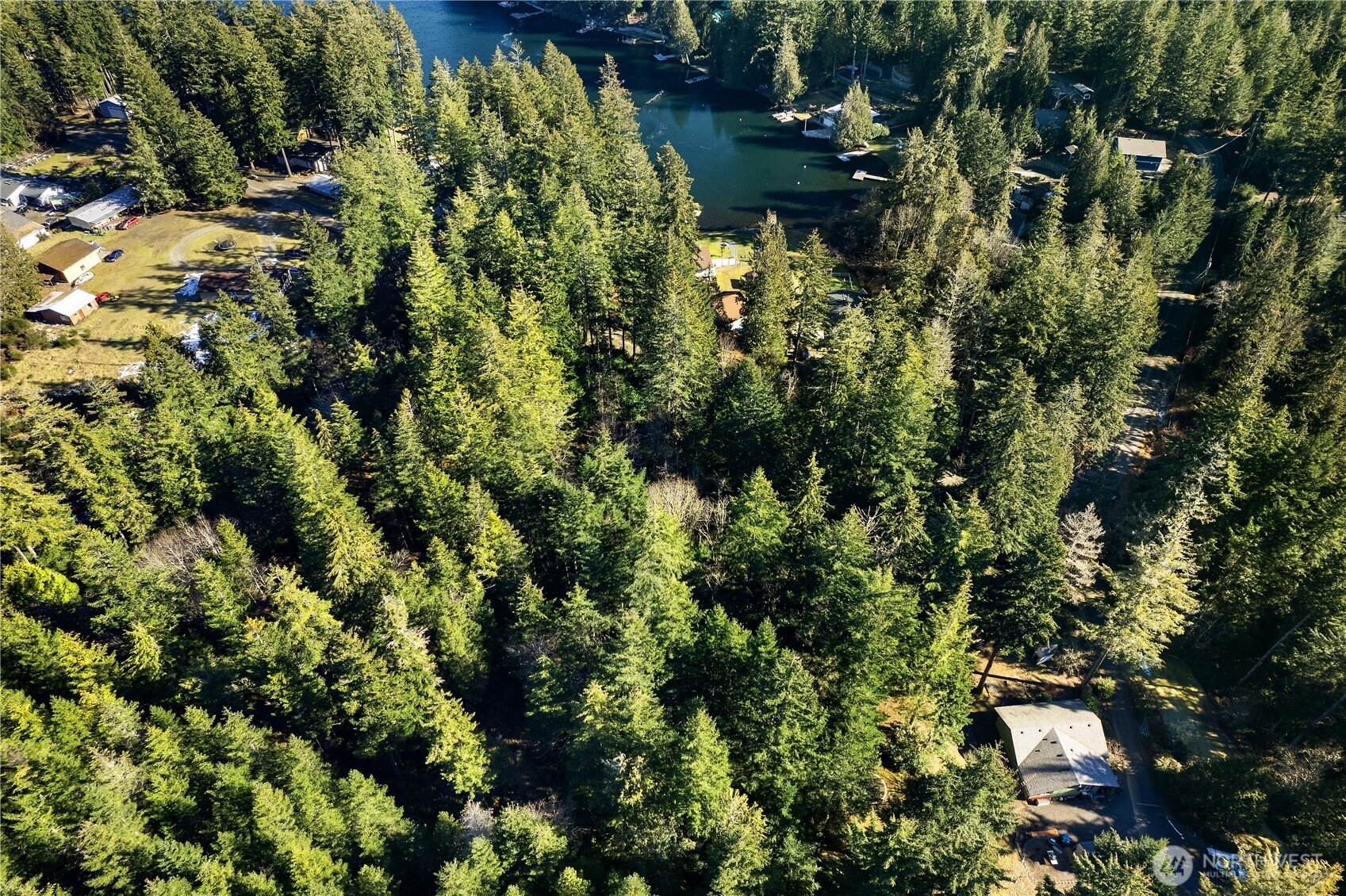 1651 East Phillips Lake Loop Road Shelton, WA 98584 - Photo 5 of 7 a view of a garden with plants