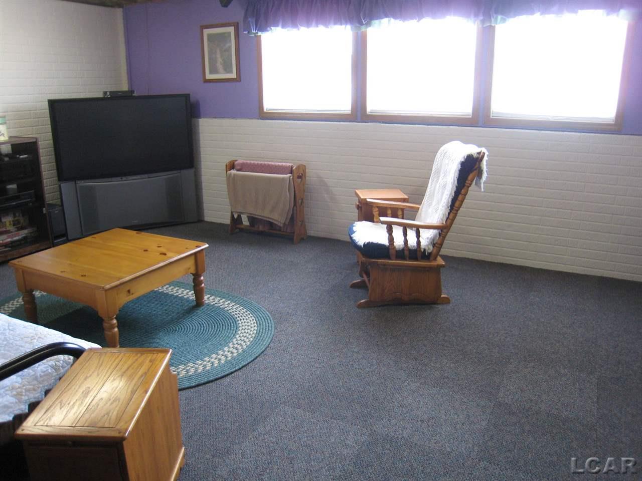 8900 Shepherd Road Onsted, MI 49265 - Photo 21 of 34 Basement family room