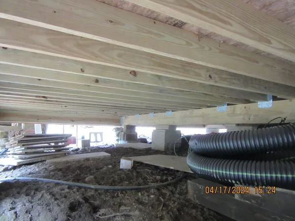 a view of a forest with trees in the background
