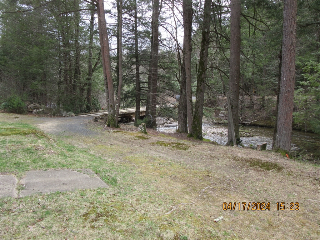 86 Ashfield Road Williamsburg, MA 01096 - Photo 7 of 20 a view of a forest with trees in the background