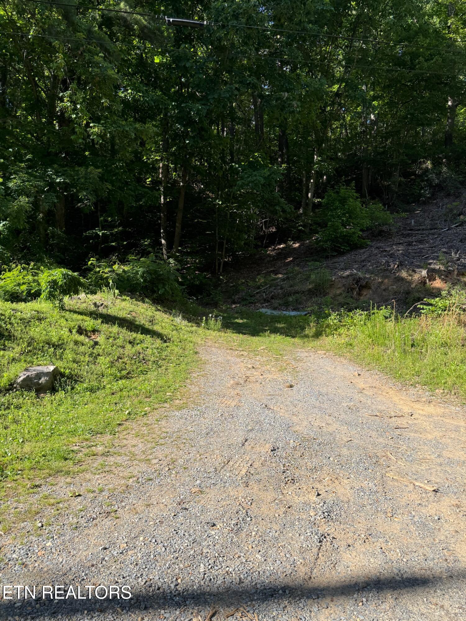 992 Chicken Hollow Road Newport, TN 37821 - Photo 19 of 37 IMG_0096