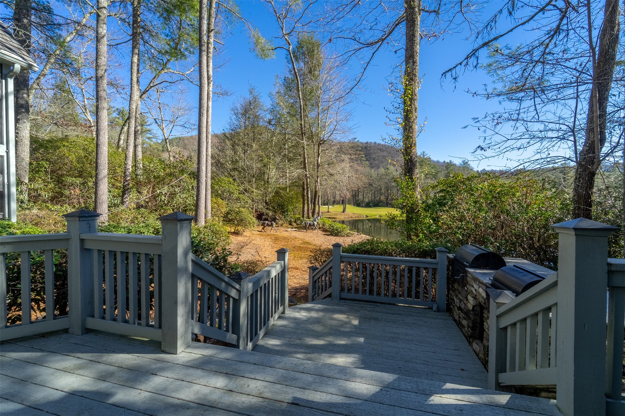 241 Indian Pipe Road Cashiers, NC 28717 - Photo 50 of 60 Gallery Image 50