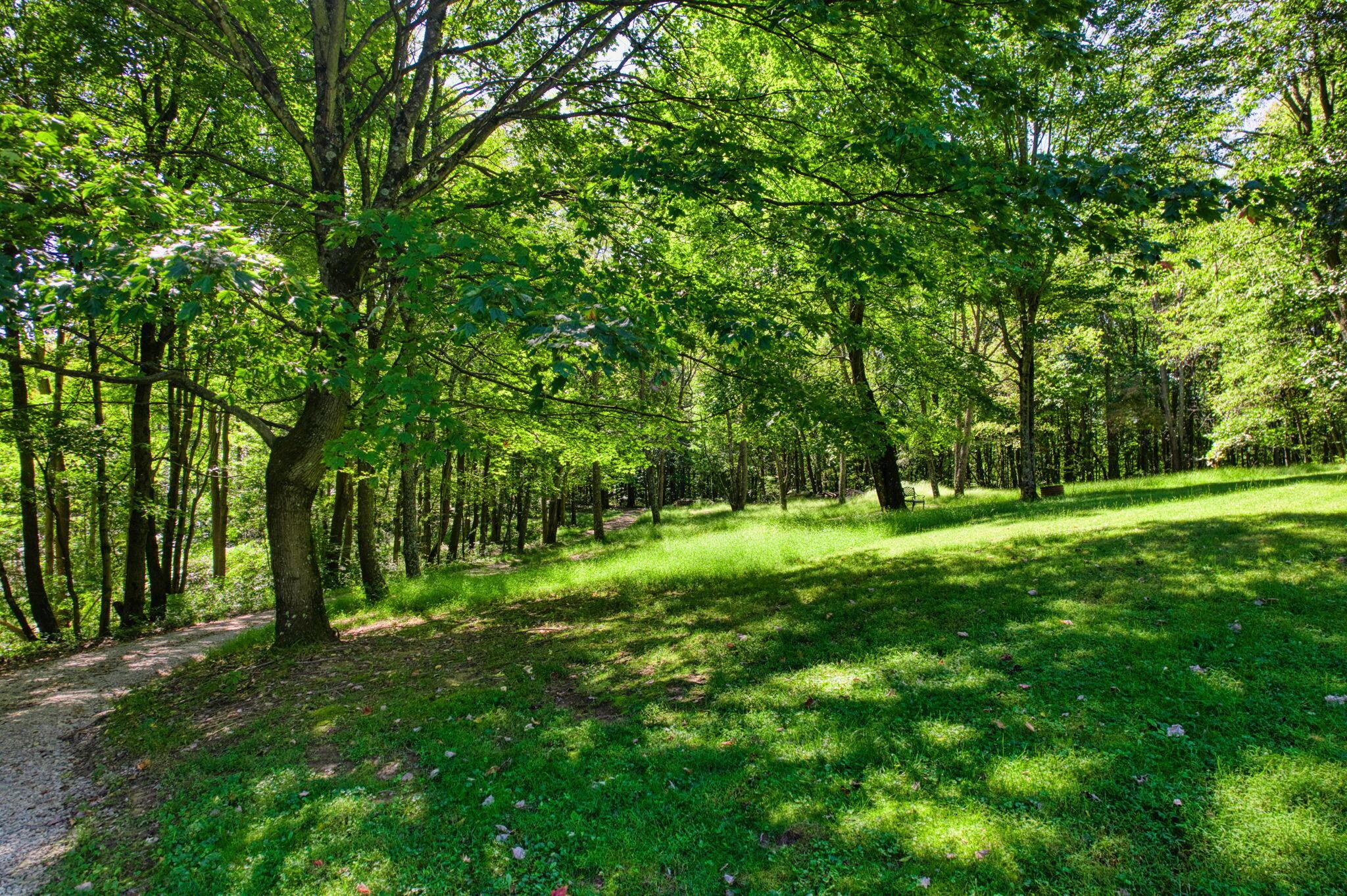 11620 Fairview Road Southeast Newark, OH 43056 - Photo 74 of 78 Land