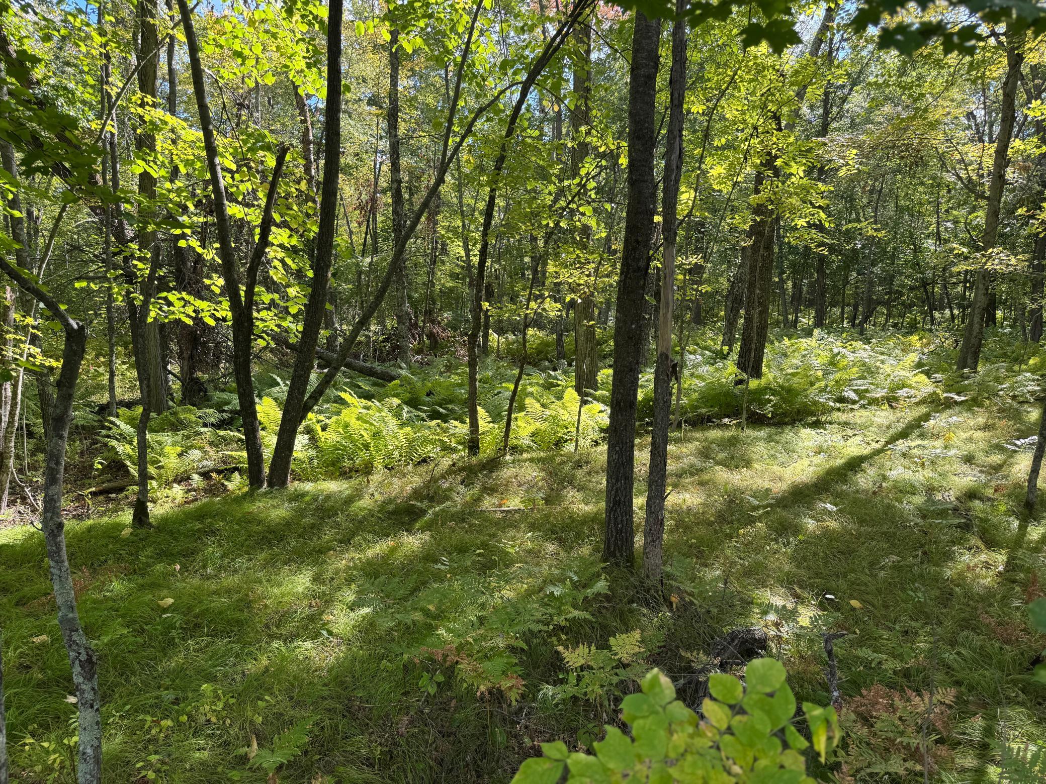 109 County Road 109 Merrifield, MN 56465 - Photo 14 of 16 Gallery Image 14