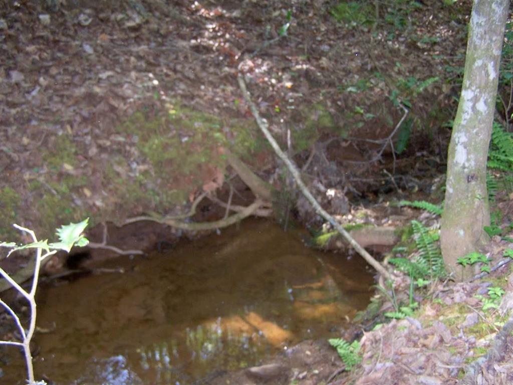 3400 Marvin Butler Road Morganton, NC 28655 - Photo 12 of 21 Gallery Image 12