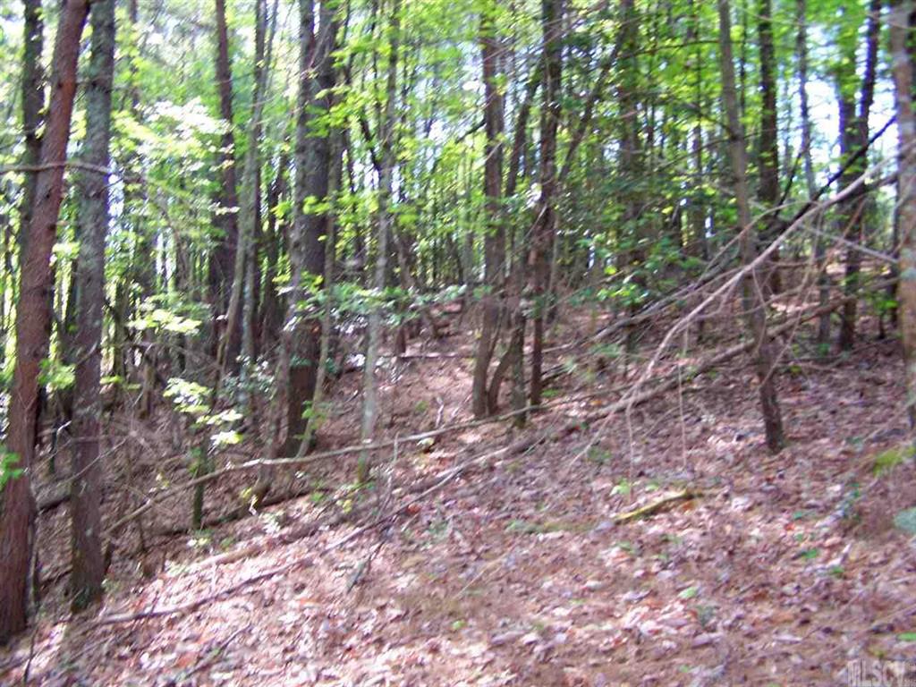 3400 Marvin Butler Road Morganton, NC 28655 - Photo 9 of 21 Gallery Image 9