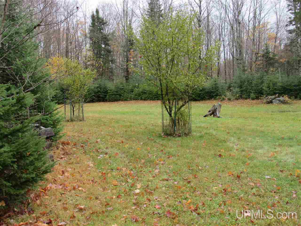 River-connors Corner Road Iron River, MI 49935 - Photo 41 of 49