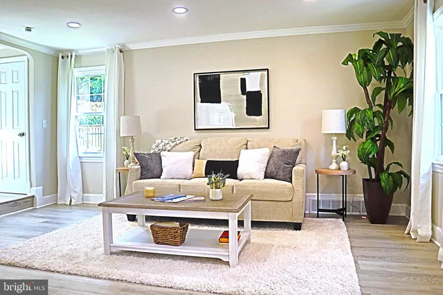 a living room with furniture and a potted plant