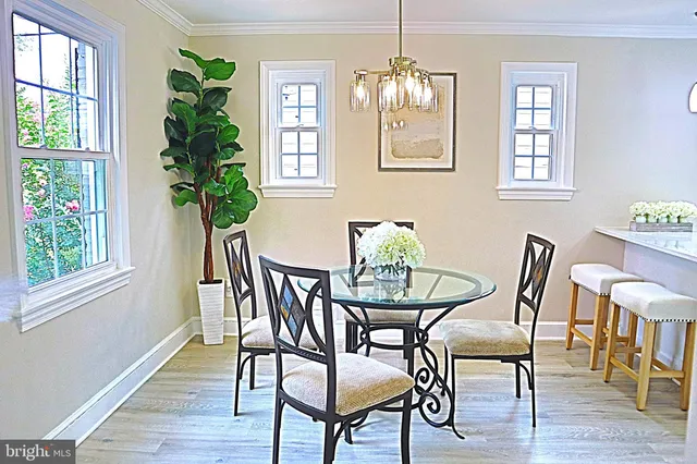 a view of a dining room with furniture and a potted plant