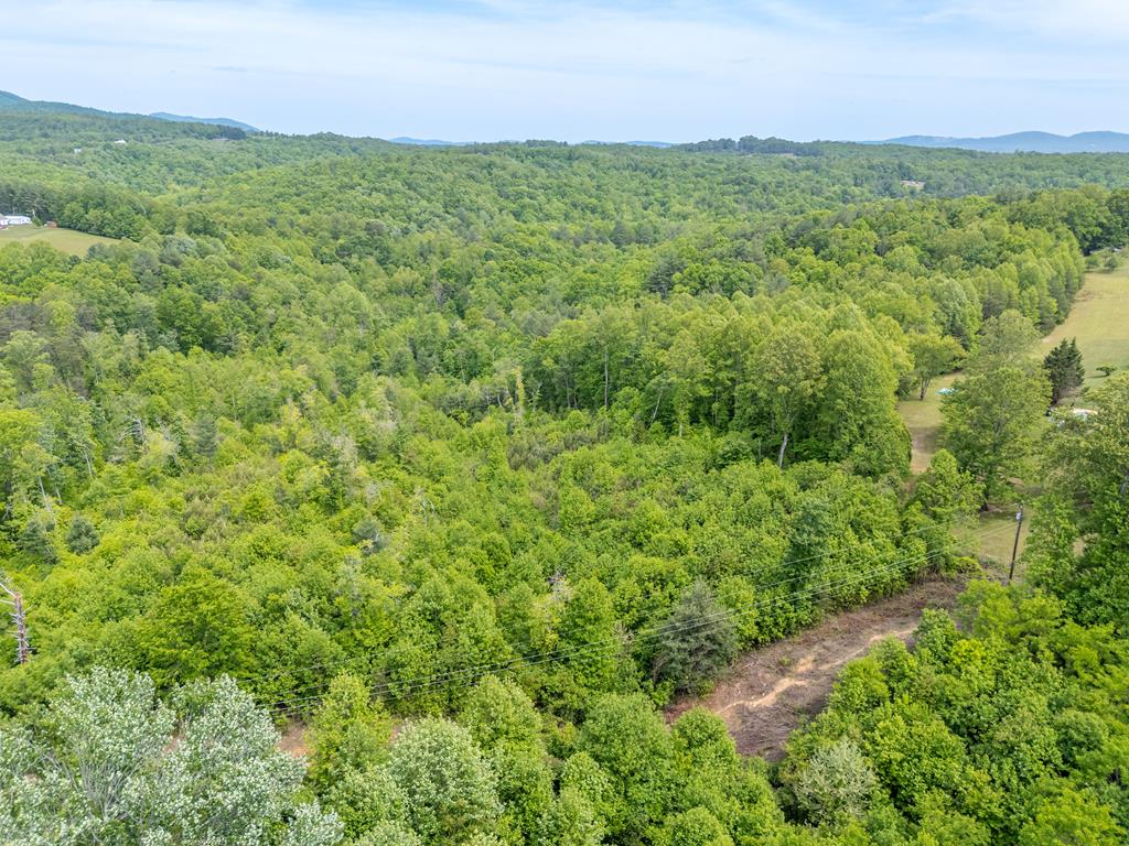 Tbd Ahart Ridge Road, Unit 58 60 61 Ararat, VA 24053 - Photo 7 of 54 Gallery Image 7