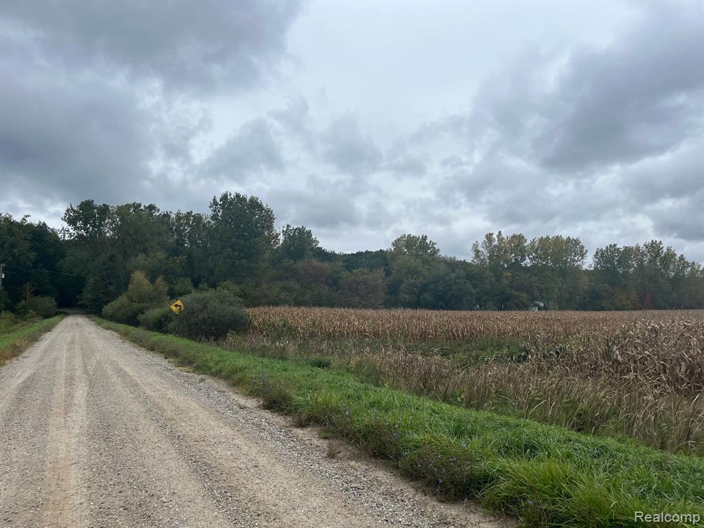 7251 South Bohms Road Imlay City, MI 48444 - Photo 1 of 3 Gallery Image 1