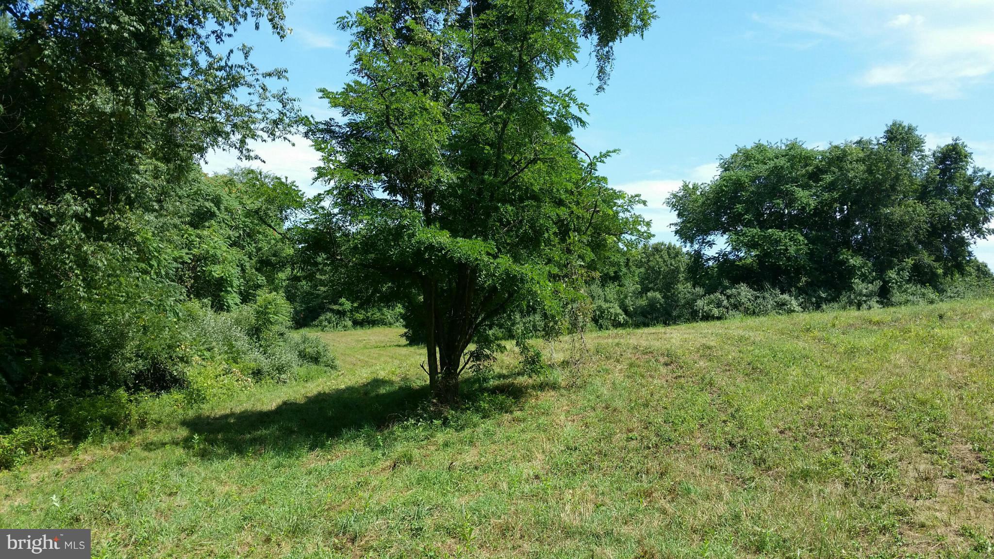 Ashville Road Delaplane, VA 20144 - Photo 1 of 26 view